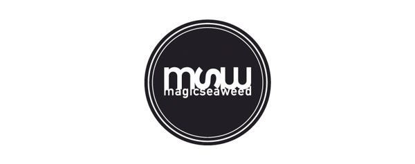 magicseaweed boardshorts7